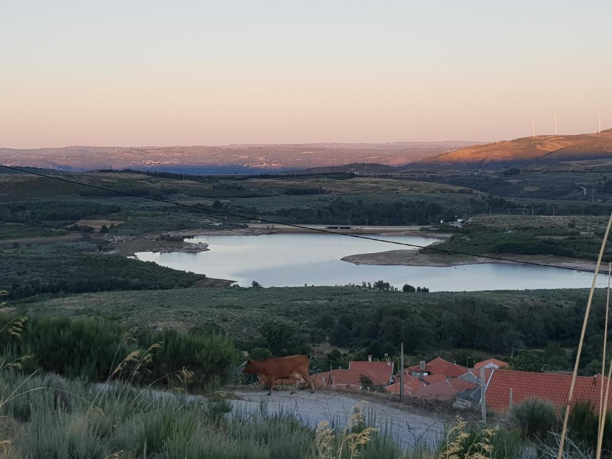 Willa Casa Da Relva Inspirada Em Harry Potter Lamego Zewnętrze zdjęcie